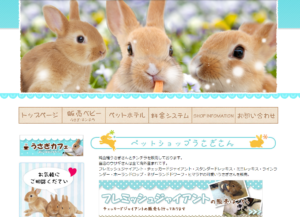 口コミ 料金 ペットショップうさぎさん 5点 1件のレビュー 公式 みんなのペットホテル